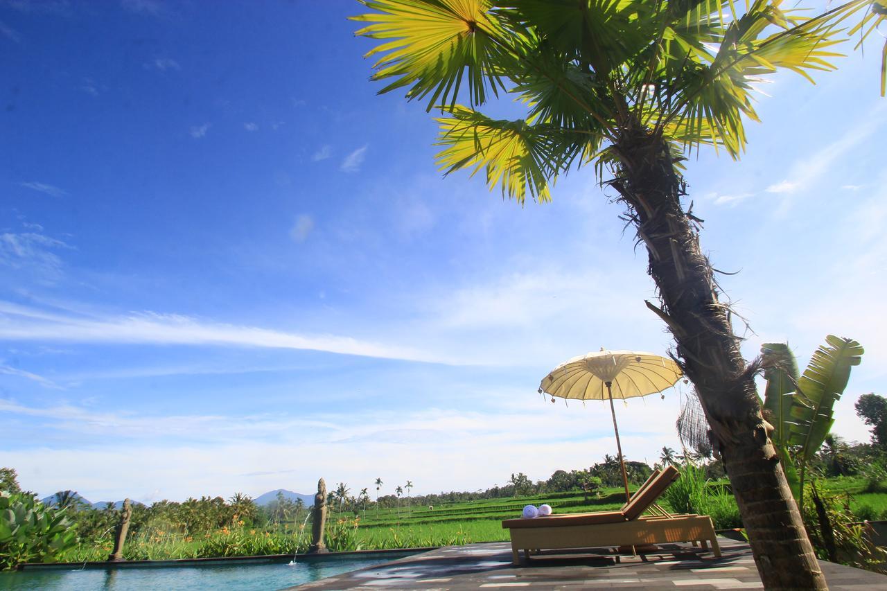 Padi Bali Eco Villas Payangan Dış mekan fotoğraf