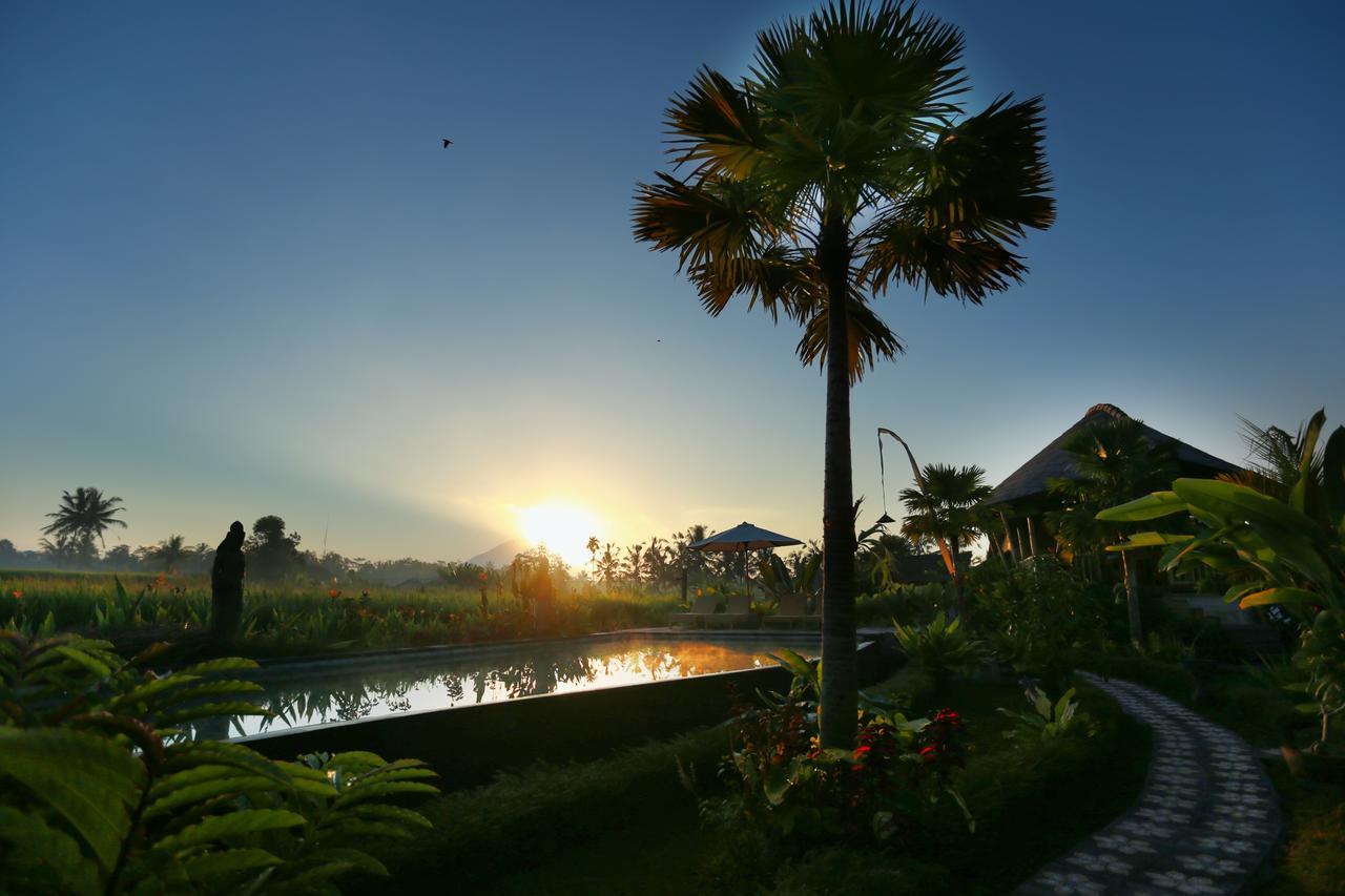 Padi Bali Eco Villas Payangan Dış mekan fotoğraf